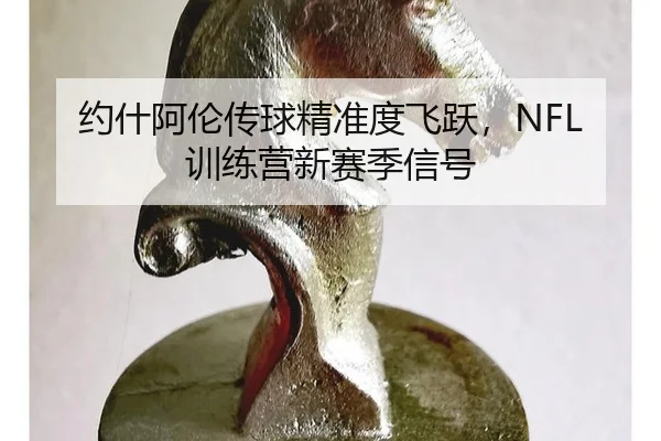 约什阿伦传球精准度飞跃，NFL训练营新赛季信号