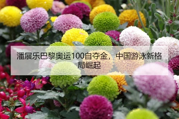 潘展乐巴黎奥运100自夺金，中国游泳新格局崛起